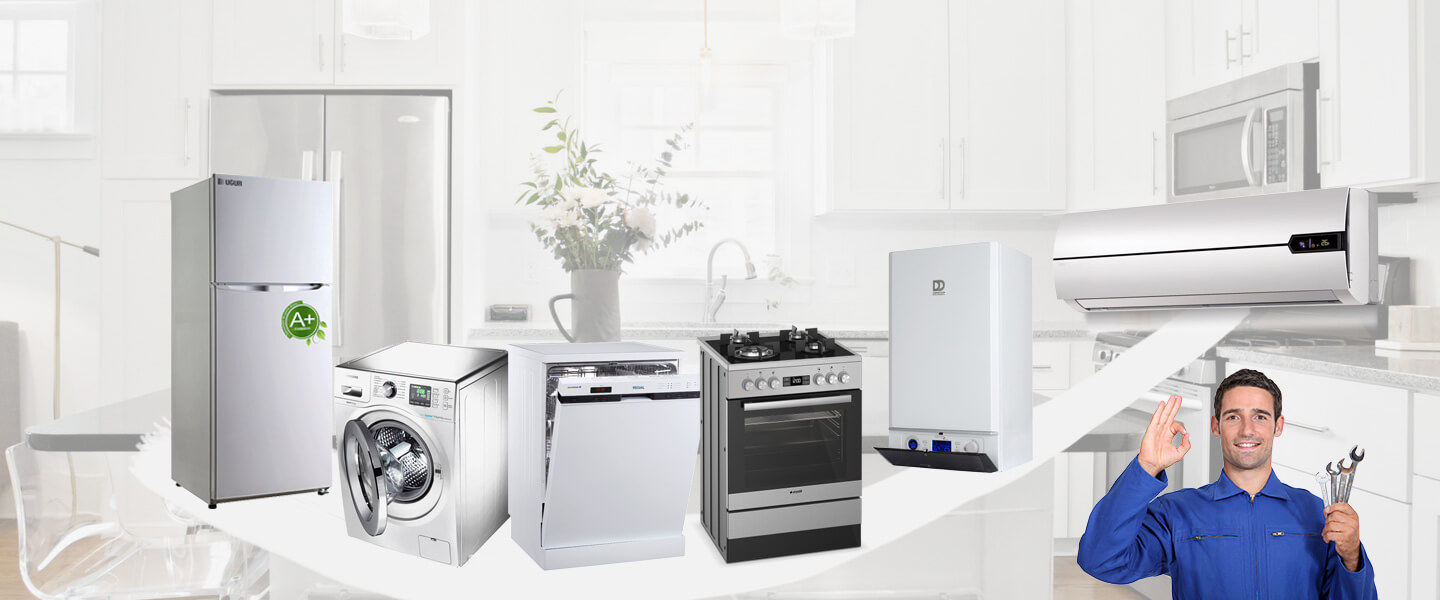 Serinhisar Electrolux Servisi